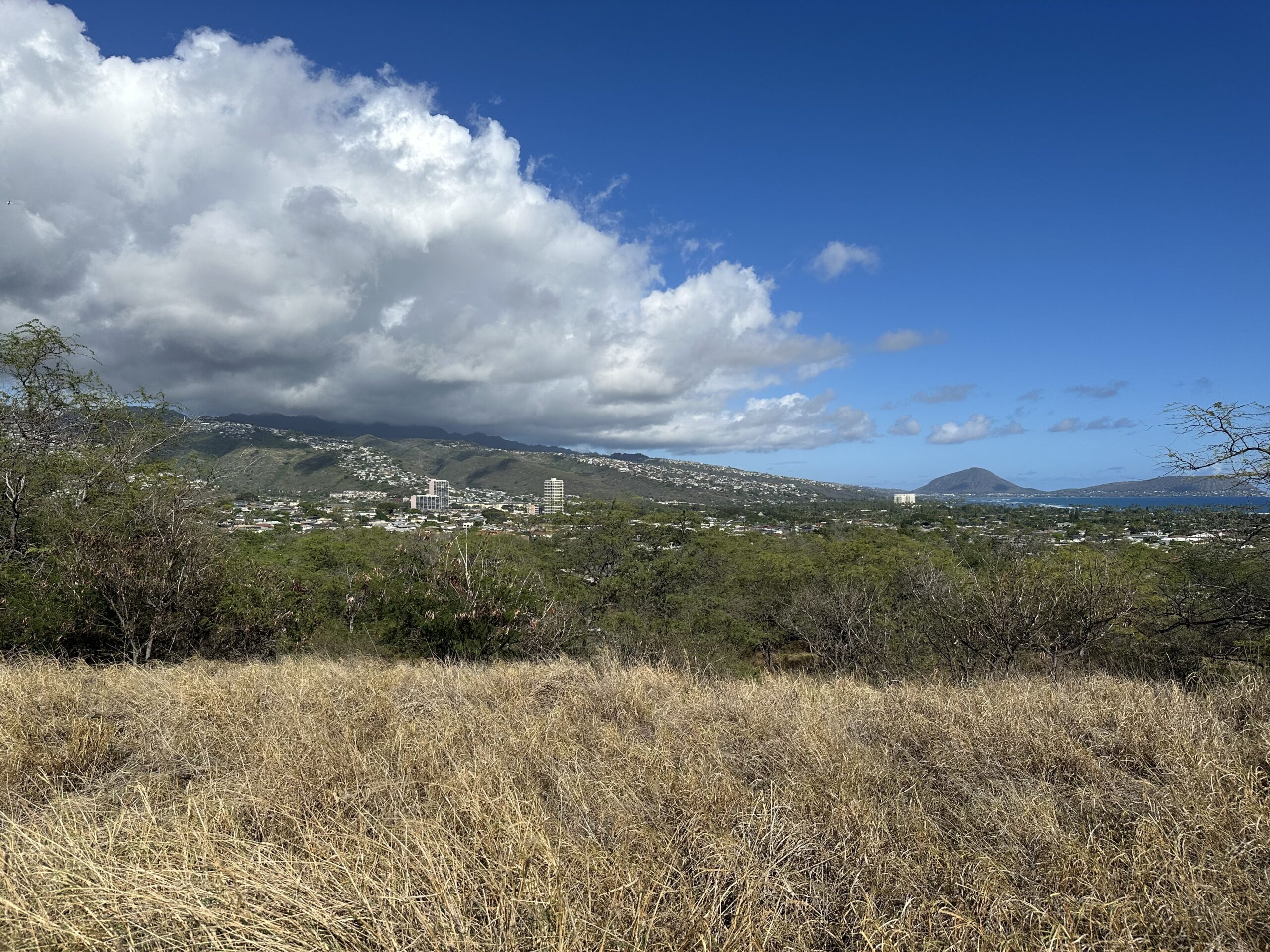 Loving from a place of reverence